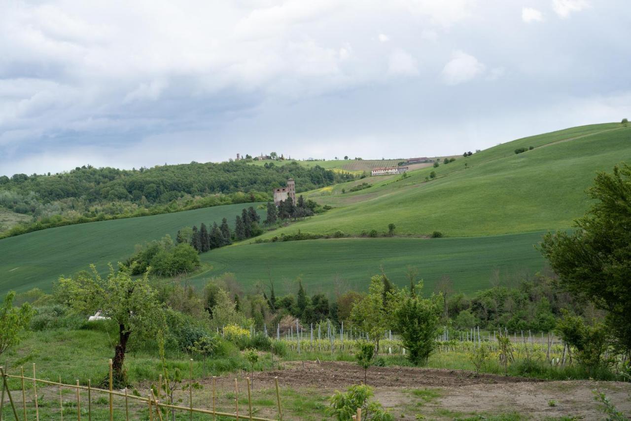 Апартаменты Cascina Pelizza Казале-Монферрато Экстерьер фото