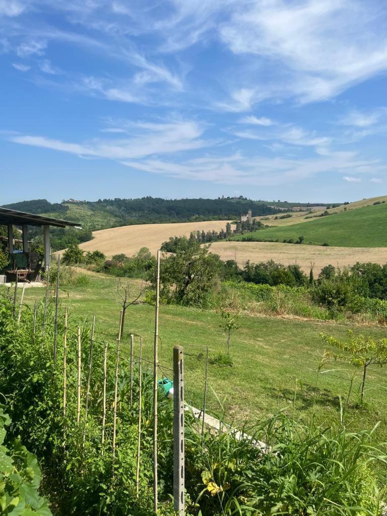 Апартаменты Cascina Pelizza Казале-Монферрато Экстерьер фото